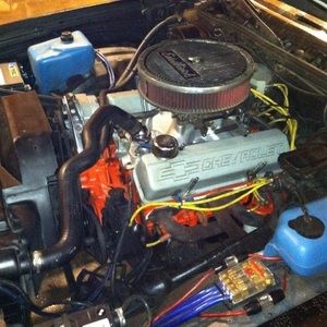 Meet your Posher, Todd